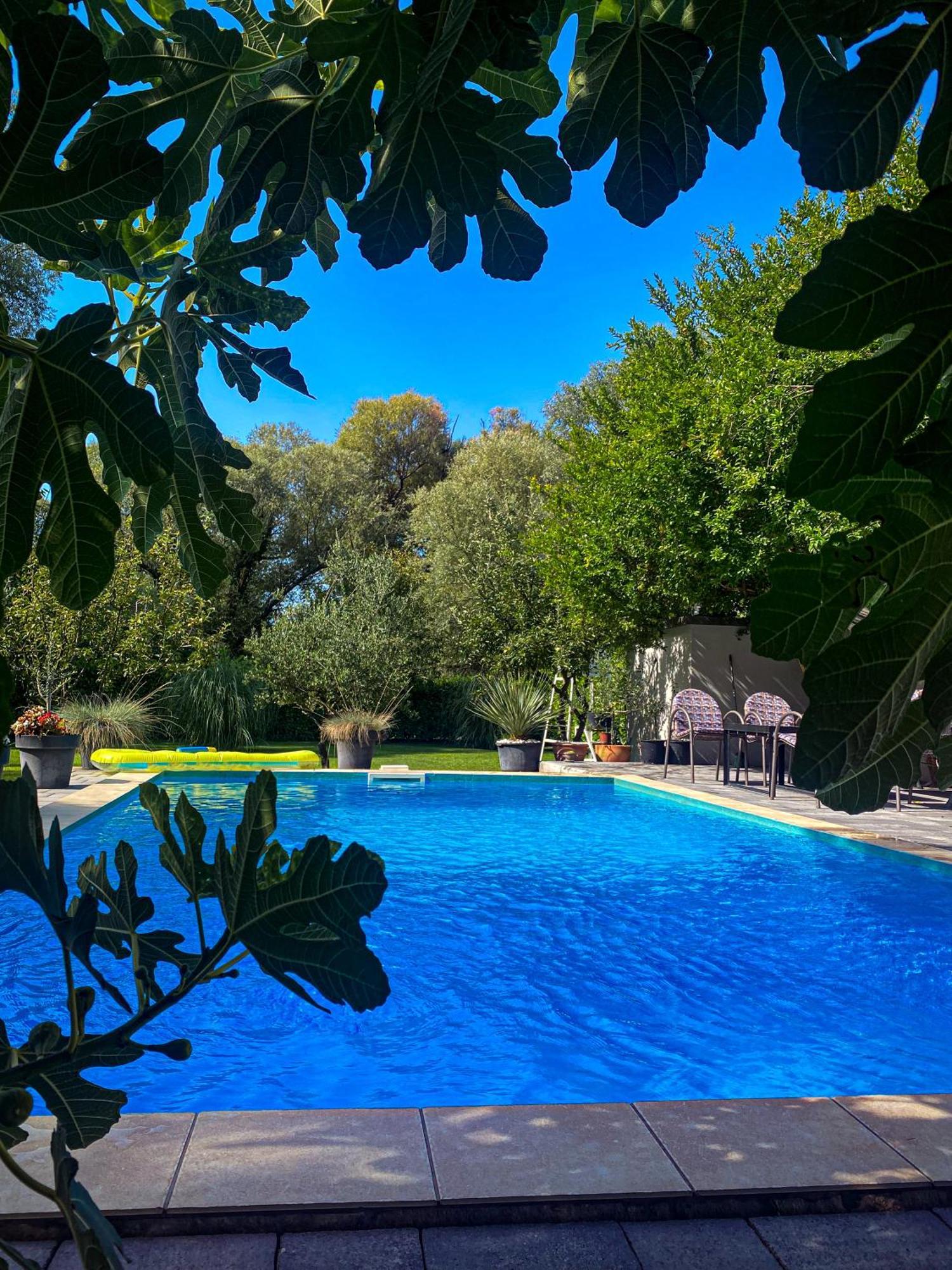 Villa D Blagaj Exteriör bild